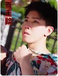 鋌而走險(xiǎn)（步步高升）（幸福人生）