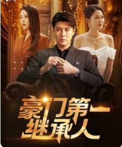 豪門第一繼承人