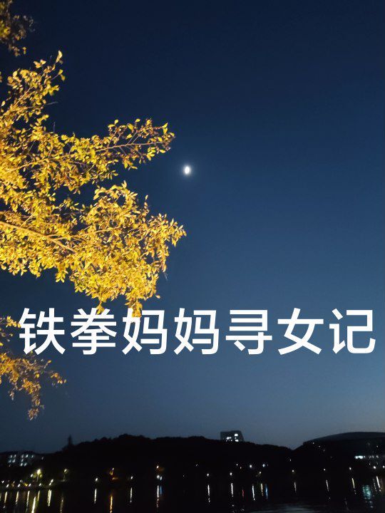 鐵拳媽媽尋女記