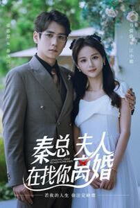 秦總，夫人在找你離婚