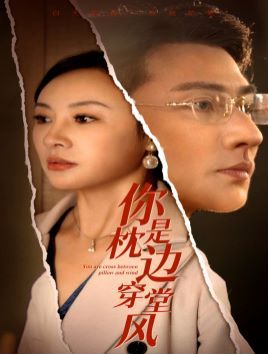 你是枕邊穿堂風
