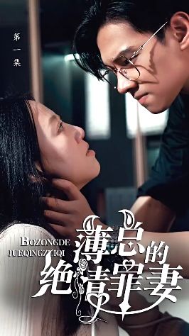 薄總的絕情罪妻