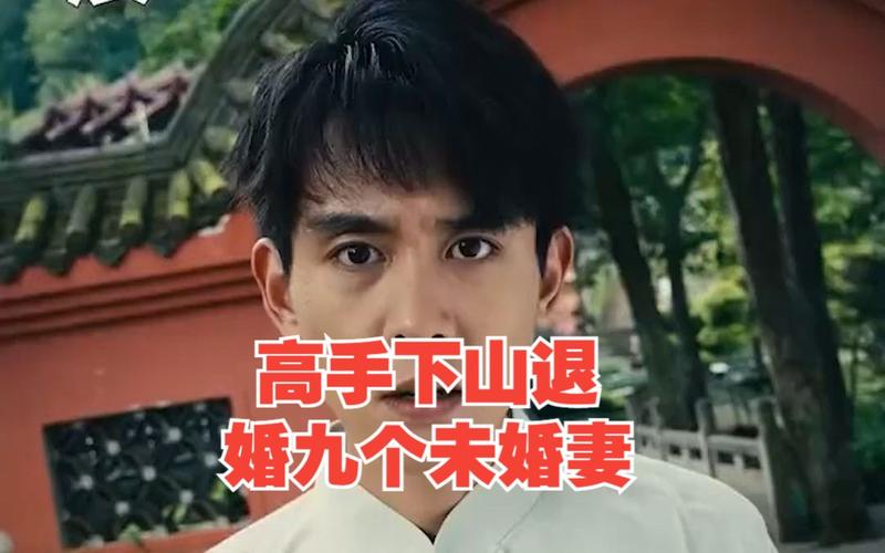 高手下山退婚九個未婚妻