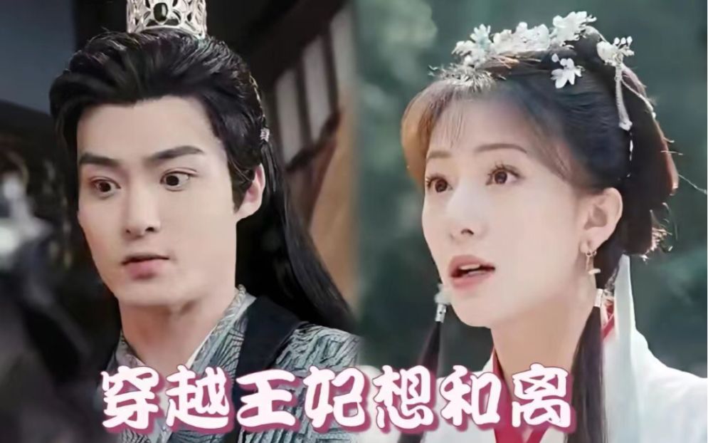 穿越王妃想和離