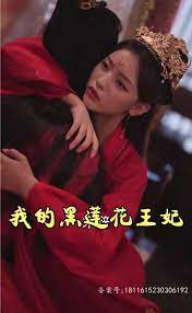 我的黑蓮花王妃