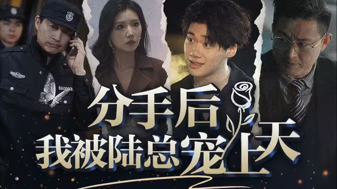分手后，我被陸總寵上天