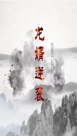 龍婿逆襲