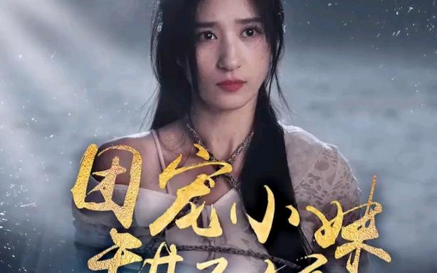 團寵小妹甜又嬌