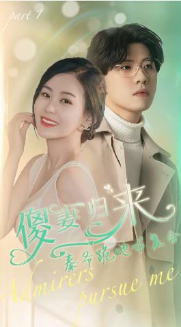 傻妻歸來秦爺跪地求復合