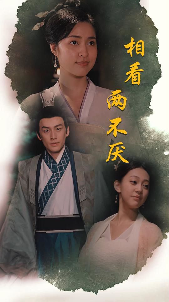 相看兩不厭(這個(gè)王妃不好惹)