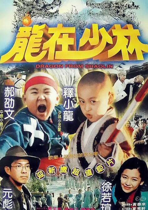龍在少林