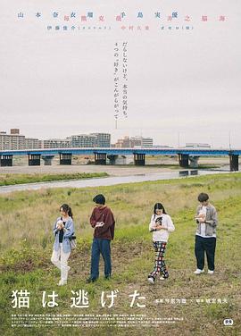 貓貓?zhí)幼吡? /></a><a
					href=