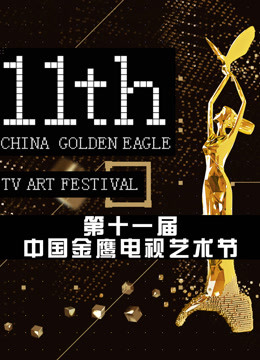 第十一屆中國金鷹電視藝術節(jié) 互聯(lián)盛典