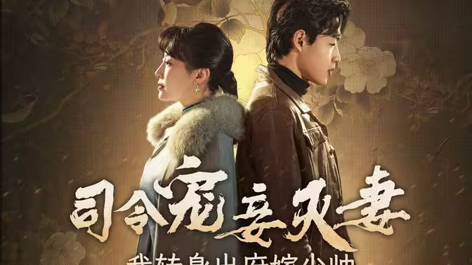 司令寵妾滅妻，我轉(zhuǎn)身出府嫁少帥