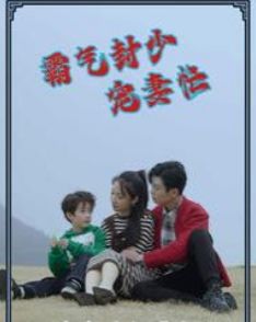 霸氣封少寵妻忙