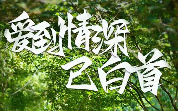 愛到情深已白首