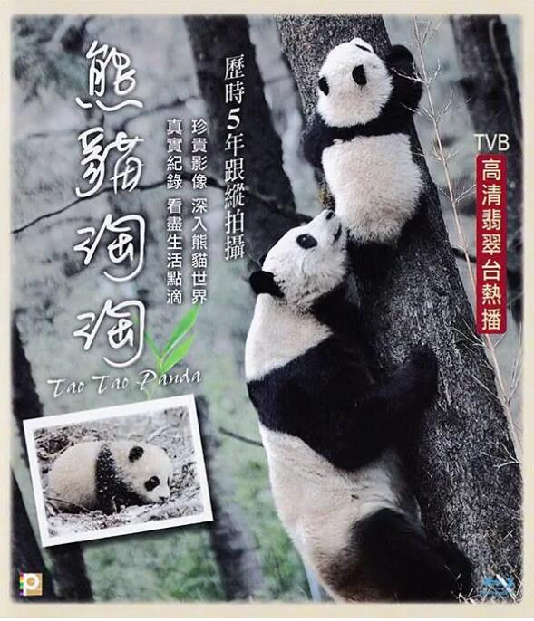 熊貓?zhí)蕴? /></a><a
					href=