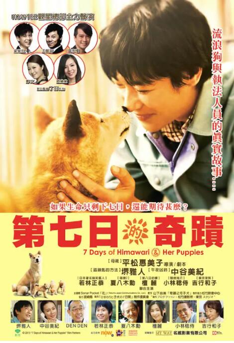 向日葵與幼犬的7天