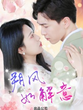 朔風有解意