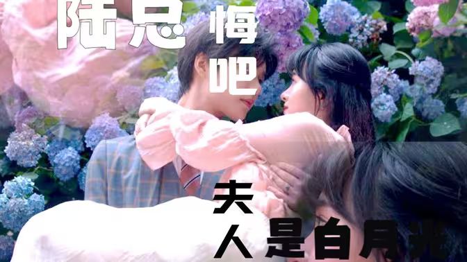 陸總懺悔吧，夫人才是白月光