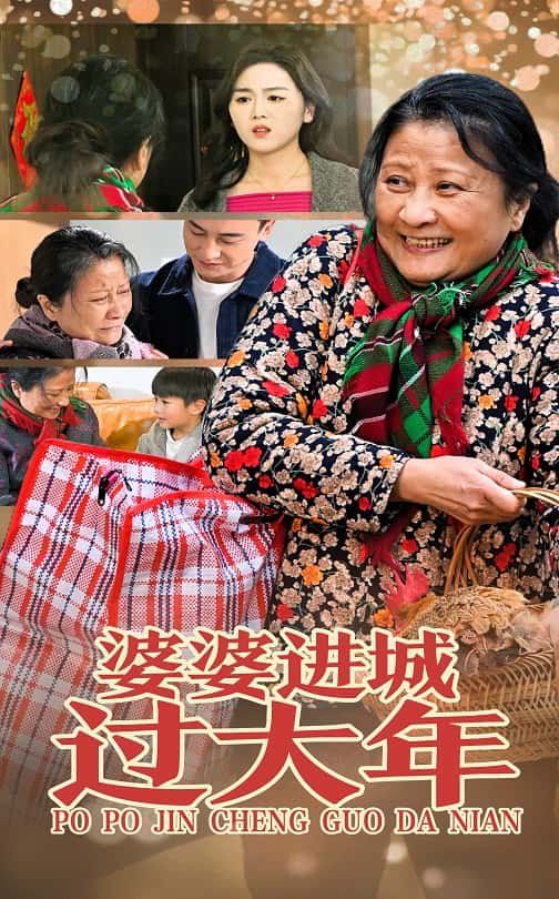 婆婆進(jìn)城過大年