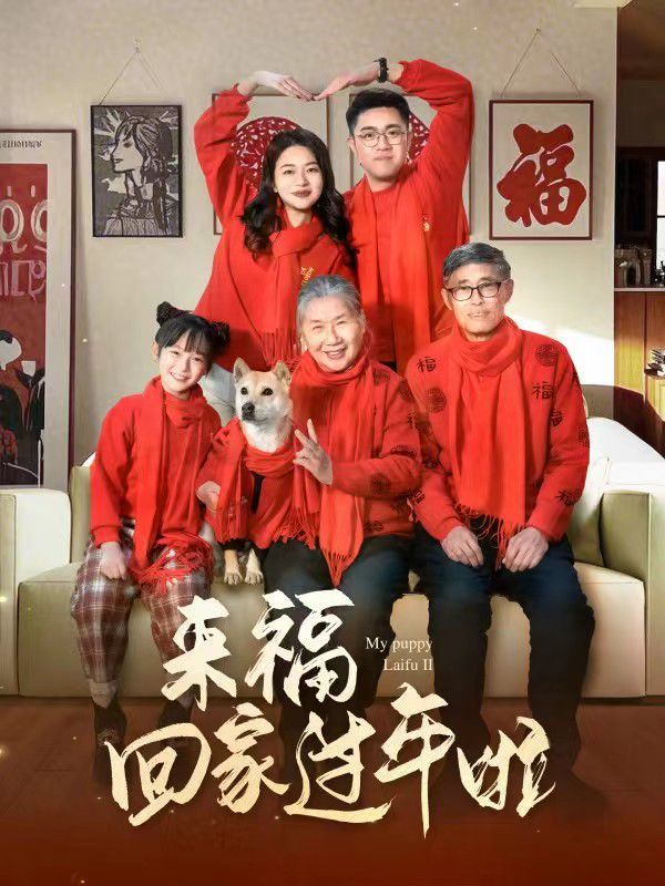 來?；丶疫^年啦