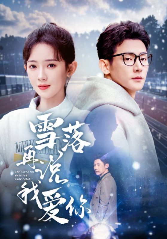 雪落再說我愛你