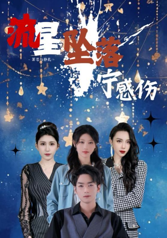 流星墜落寧感傷
