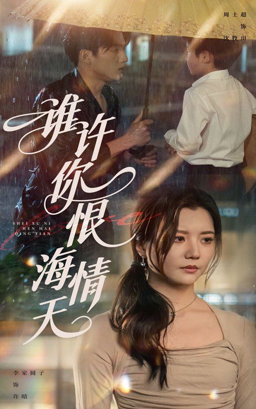 誰(shuí)許你恨海情天