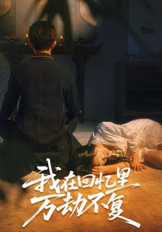 我在回憶里萬劫不復(fù)