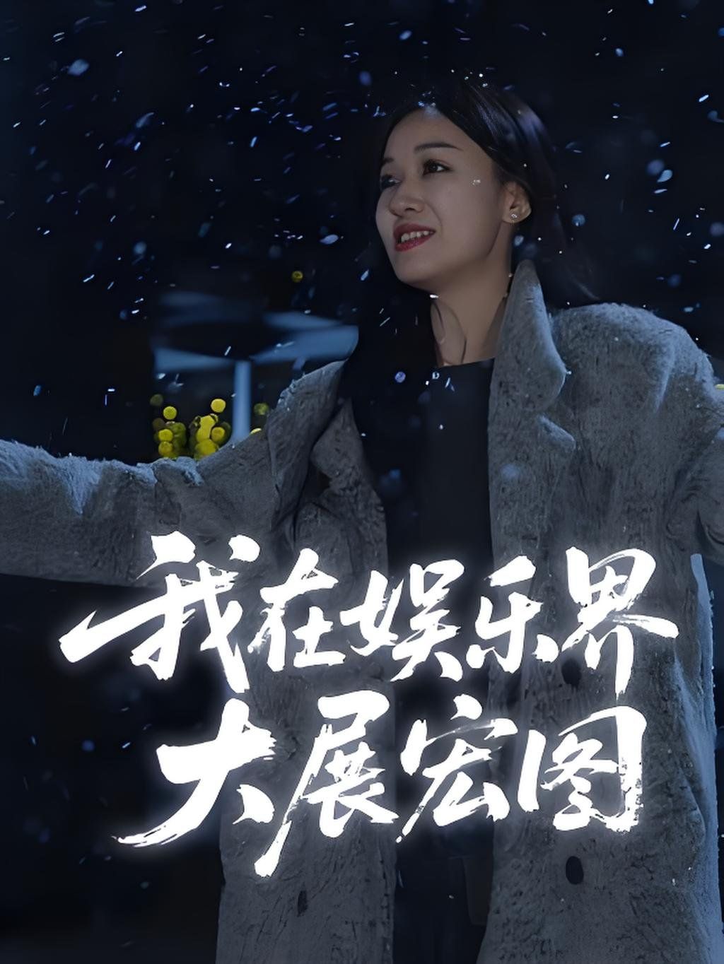 娛界掌舵人（我在娛樂界大展宏圖）