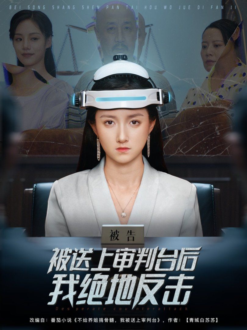 被送上審判臺(tái)后我絕地反擊