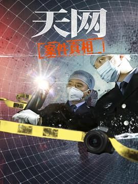 天網(wǎng)：案件真相