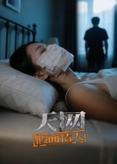 天網(wǎng)：假面情人