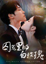 囚籠里的白玫瑰