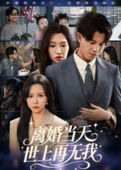 離婚當(dāng)天世上再無我