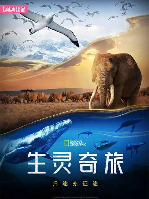 生靈奇旅