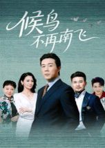 候鳥(niǎo)不再南飛