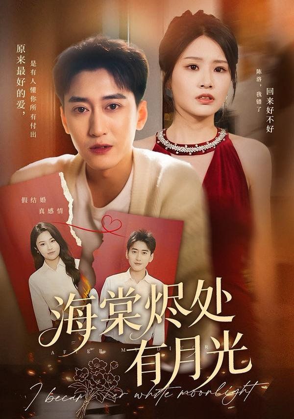 海棠燼處有月光