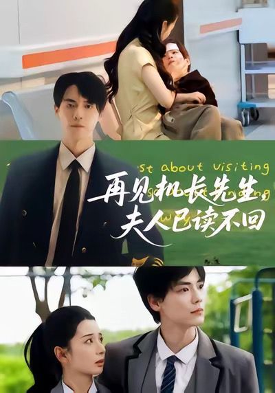 再見機(jī)長(zhǎng)先生夫人已讀不回