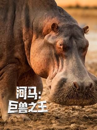 河馬：巨獸之王