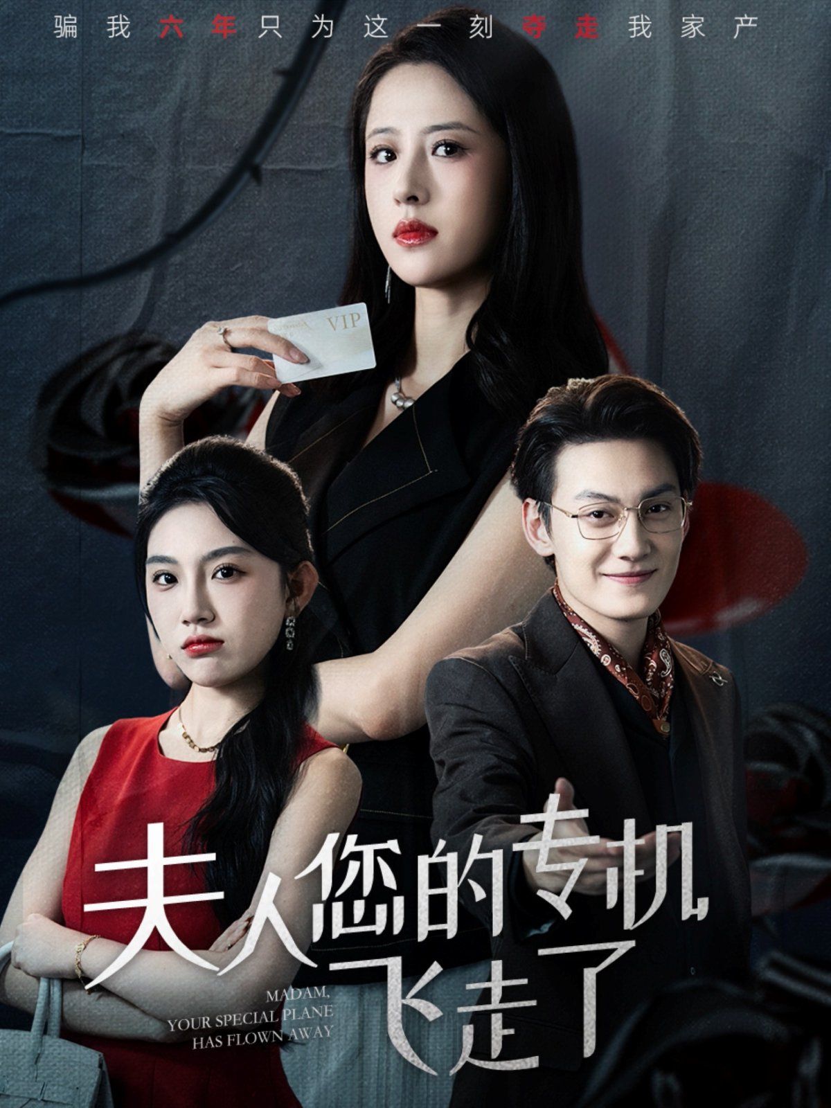 夫人您的專機(jī)飛走了