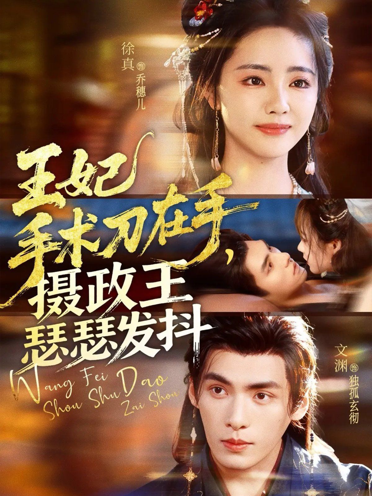 王妃手術刀在手攝政王瑟瑟發抖