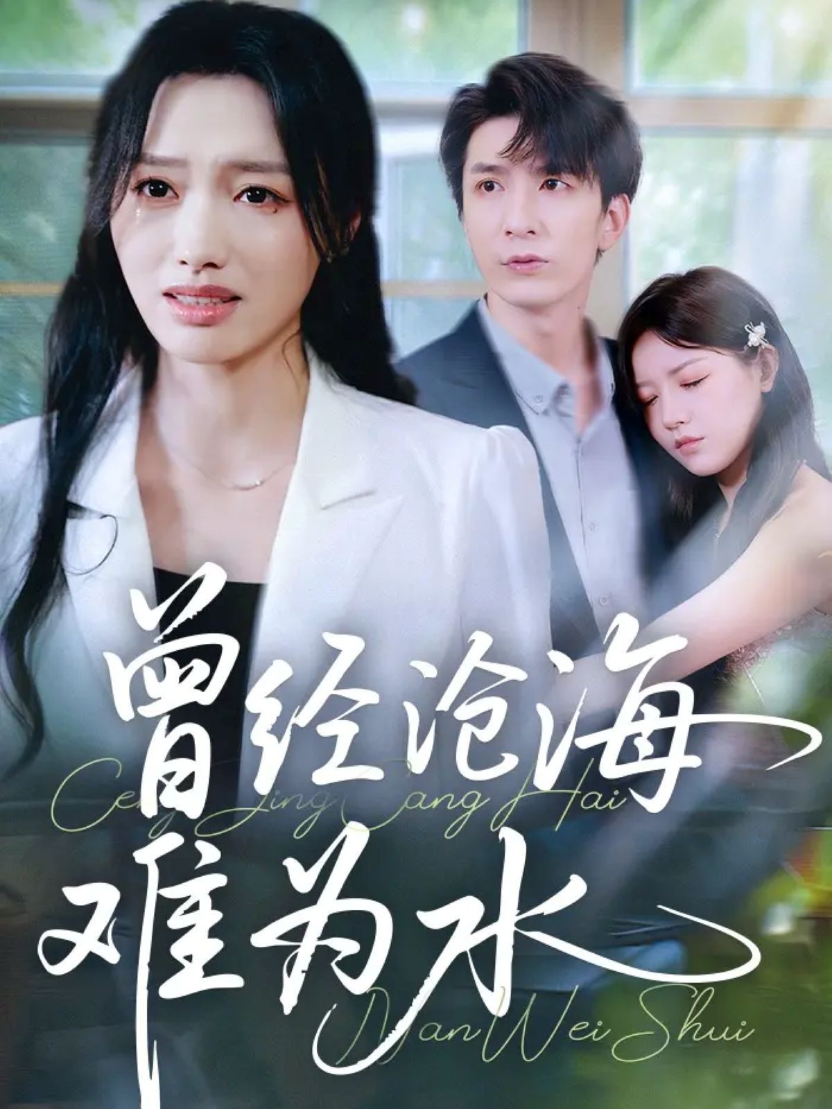 新曾經(jīng)滄海難為水