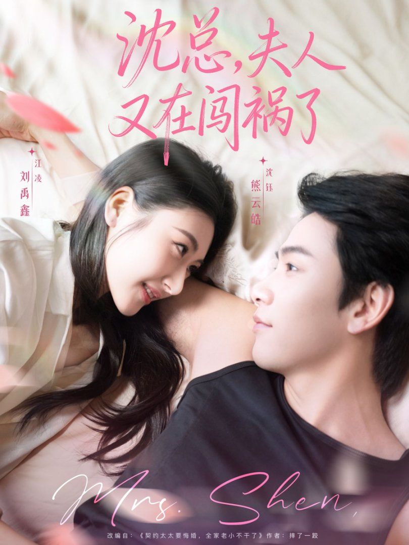 沈總，夫人又在闖禍了