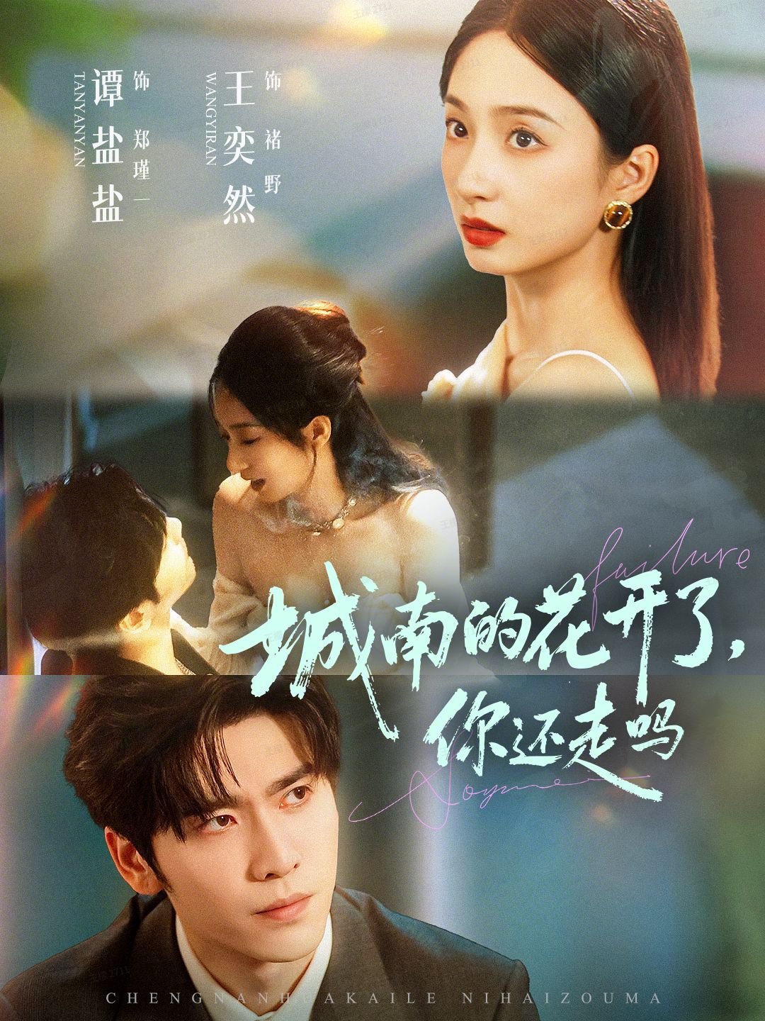 城南的花開了，你還走嗎