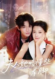 夫人她略懂些拳腳