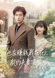 他在賺錢(qián)我在花，契約夫妻頂呱呱