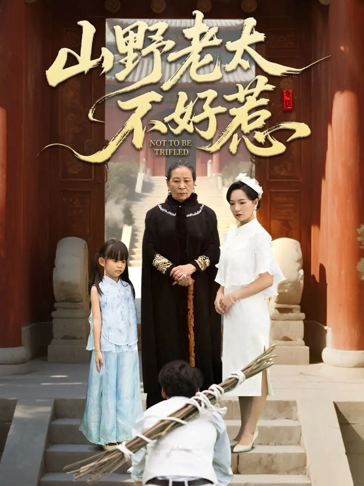 山野老太不好惹（奶奶一腳震全城）