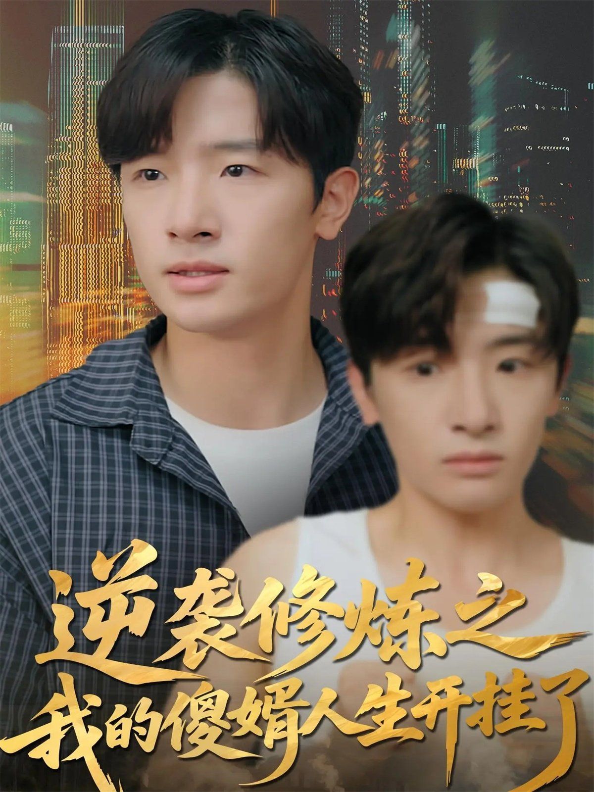 逆襲修煉之我的傻婿人生開掛了